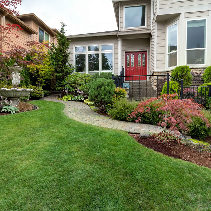 landscaping and house